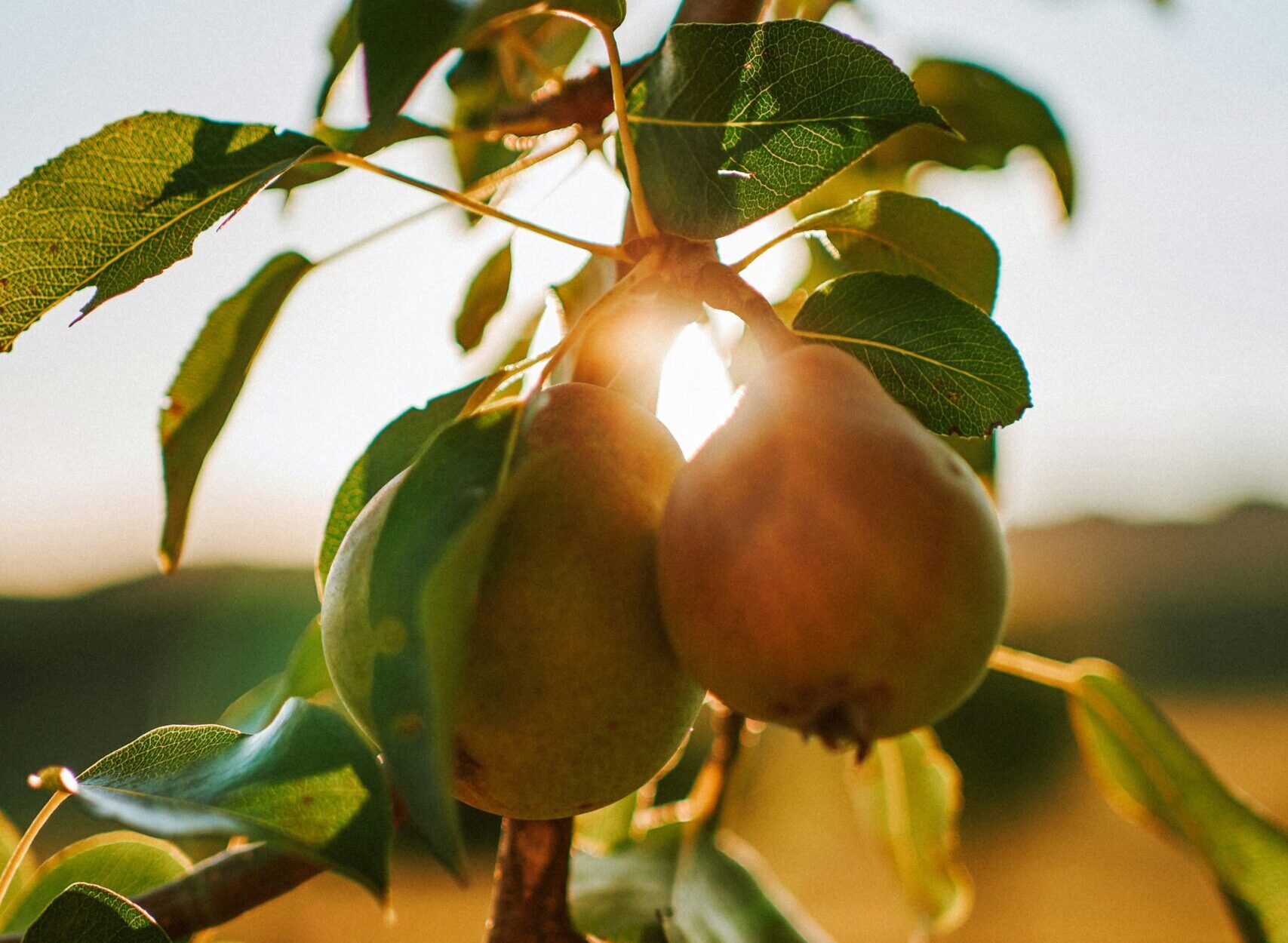 The expired idea of food waste